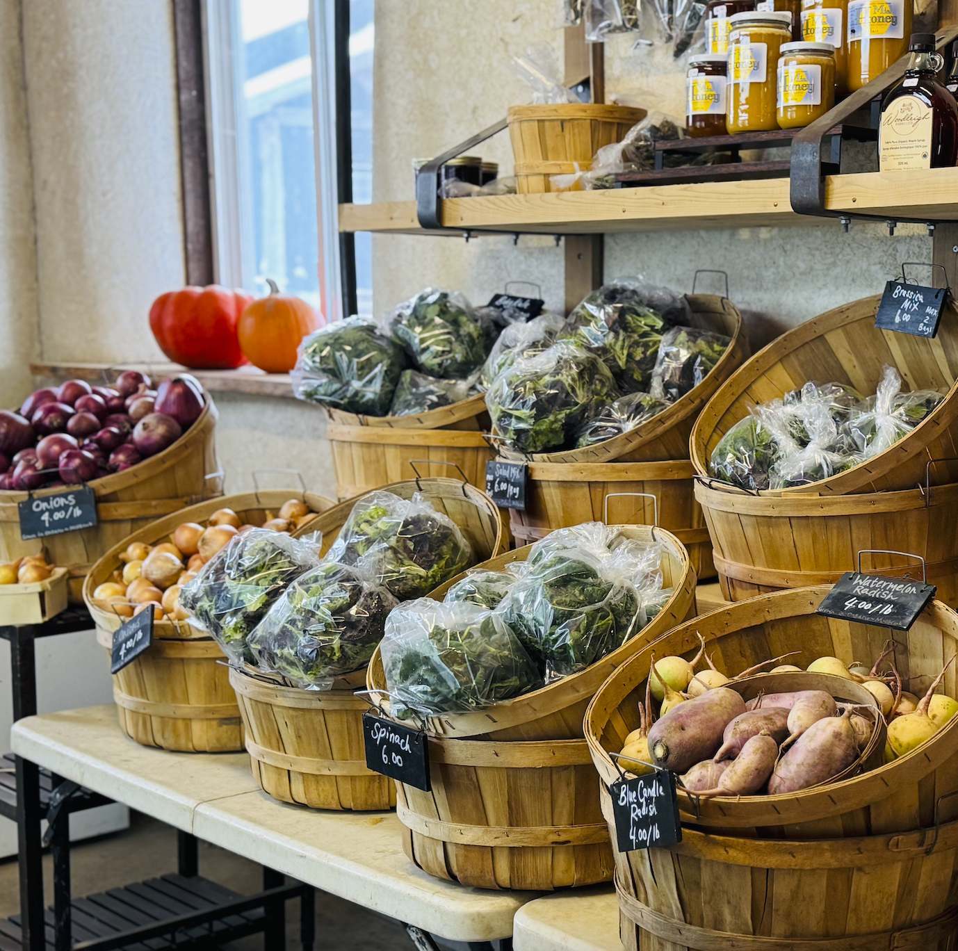 Screen Shot 2026-01-31 at 7.05.13 PM.png