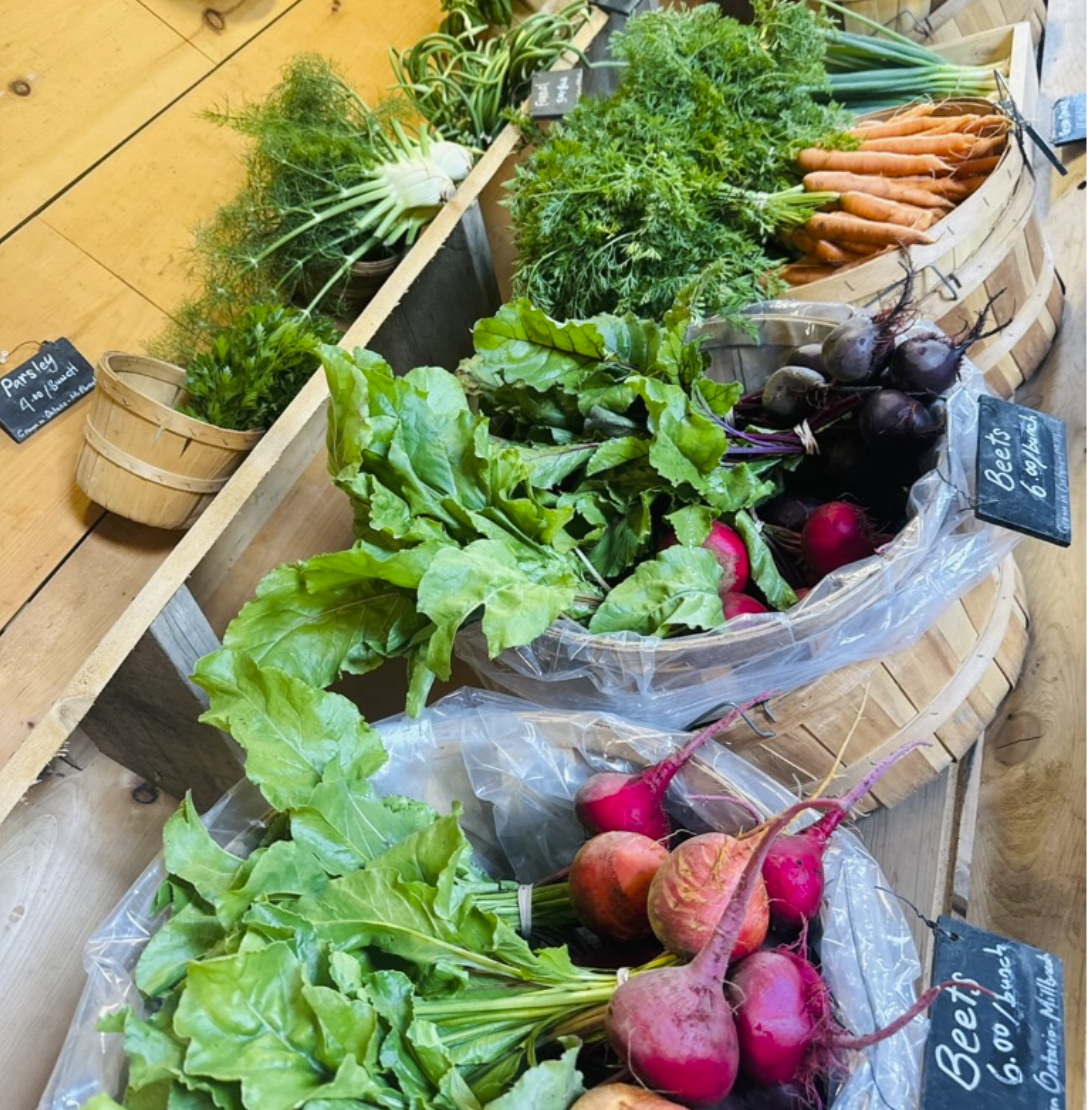 Screen Shot 2026-01-31 at 7.11.38 PM.png