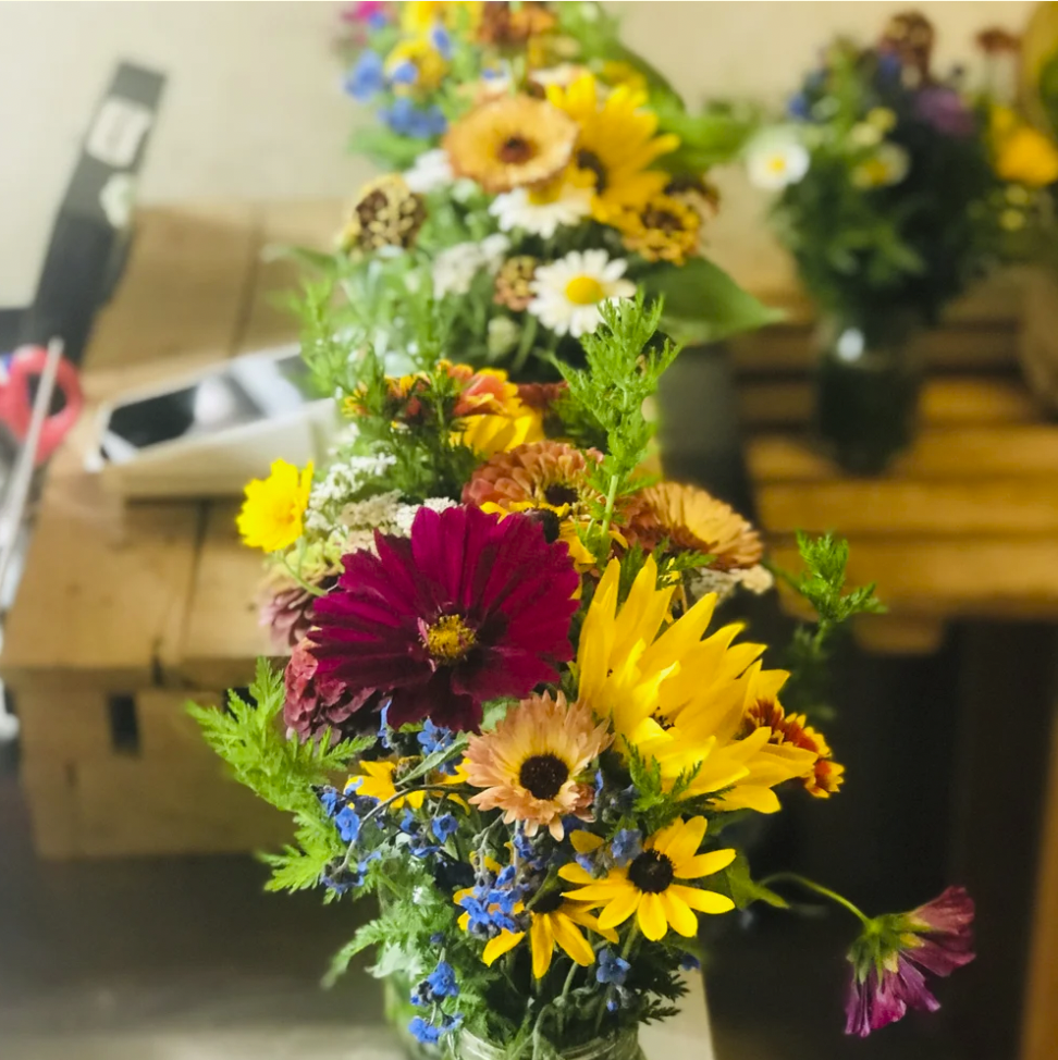 Screen Shot 2026-02-01 at 8.04.33 AM.png