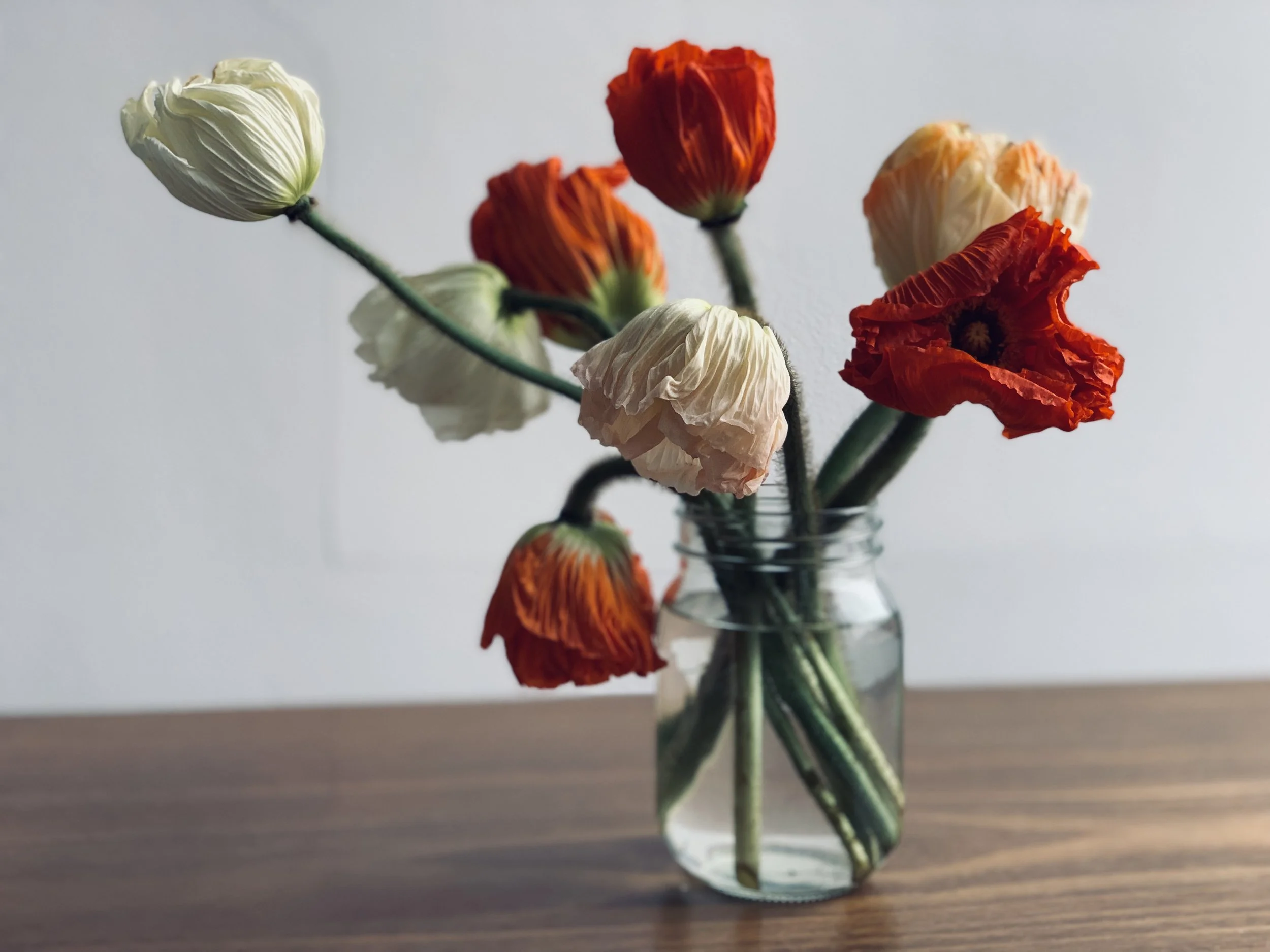 HALCYON HALCYON Poppy Arrangement.jpg