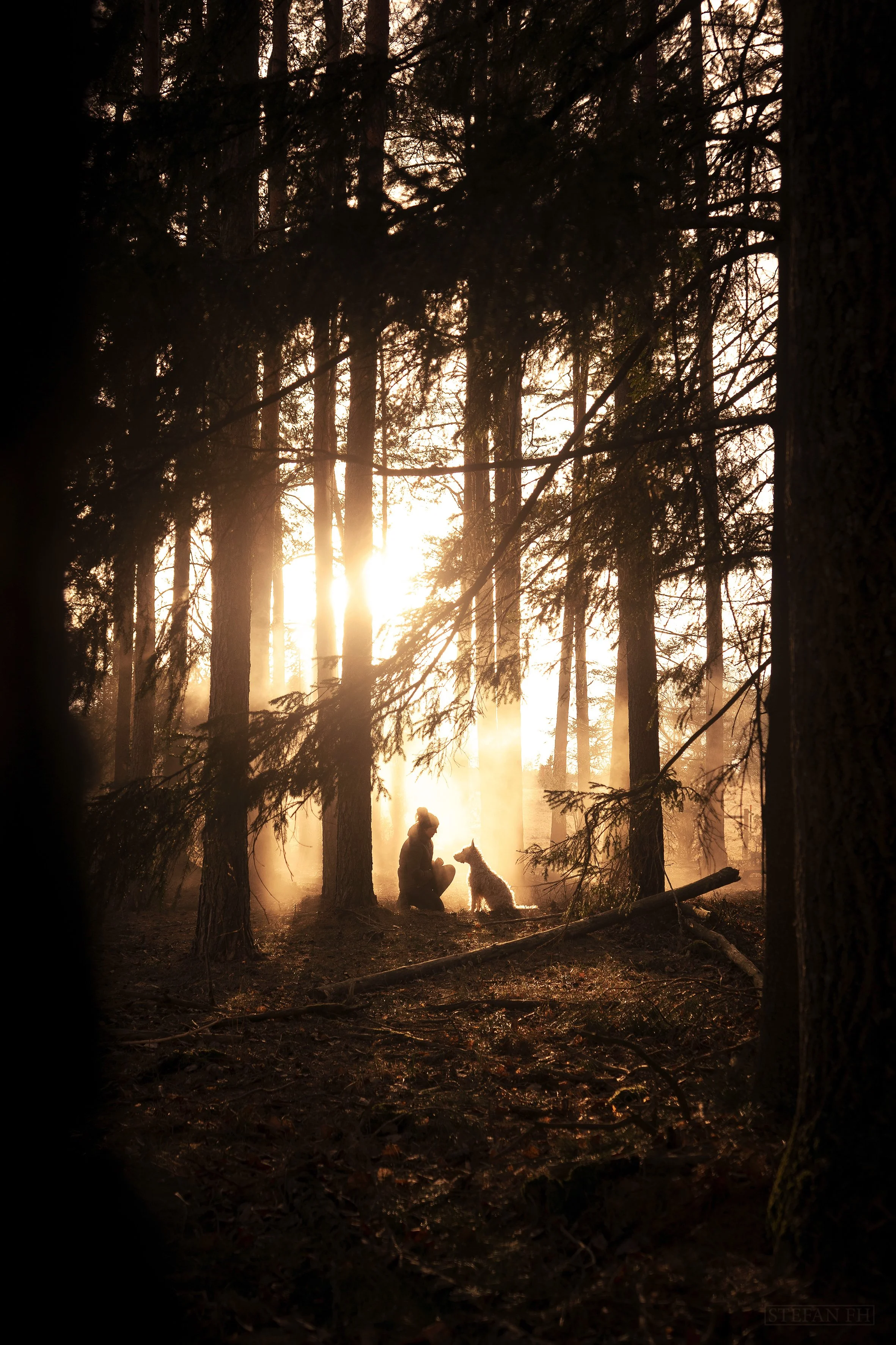 Friendship, Foto StefanFH