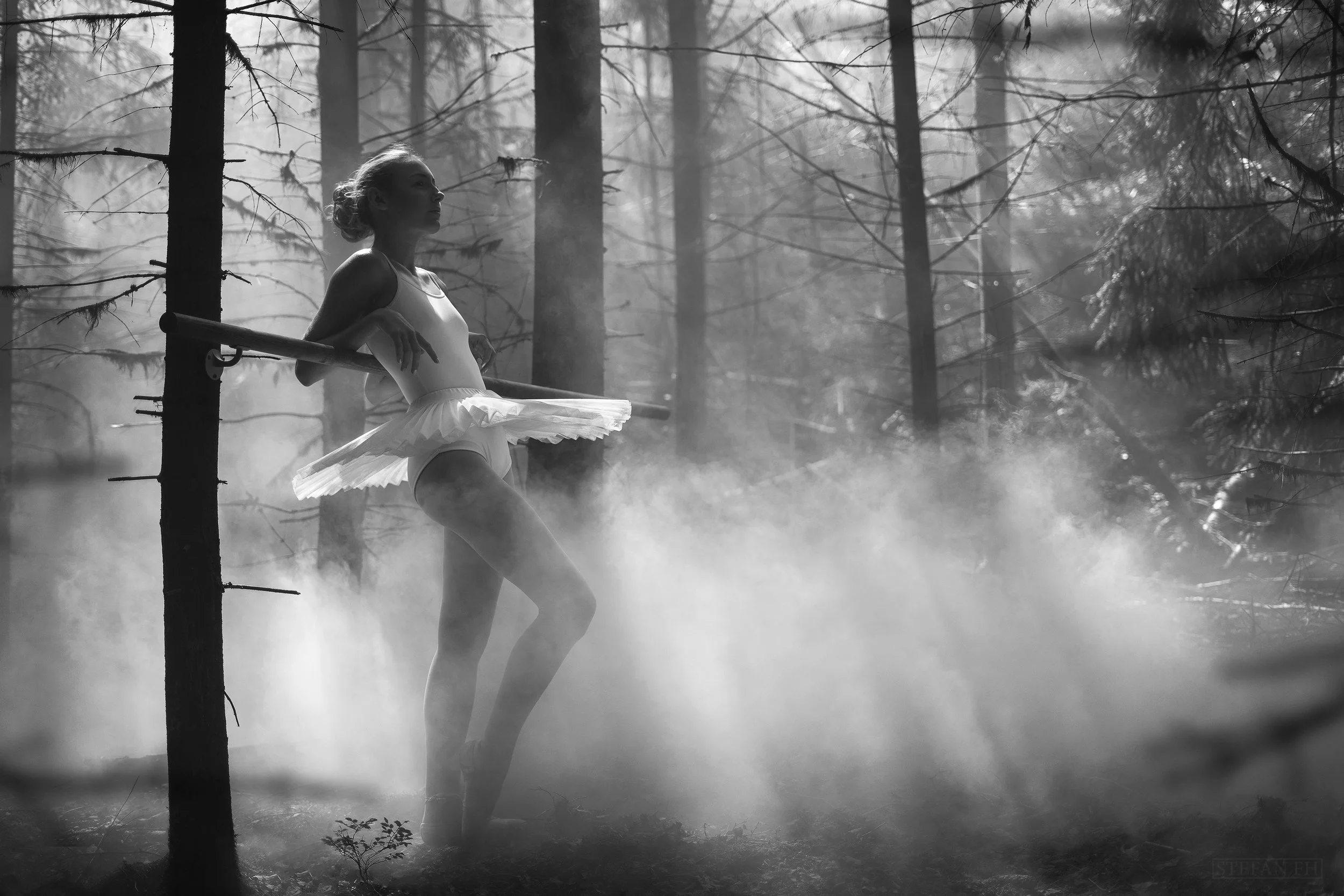 Ballerina, Foto StefanFH