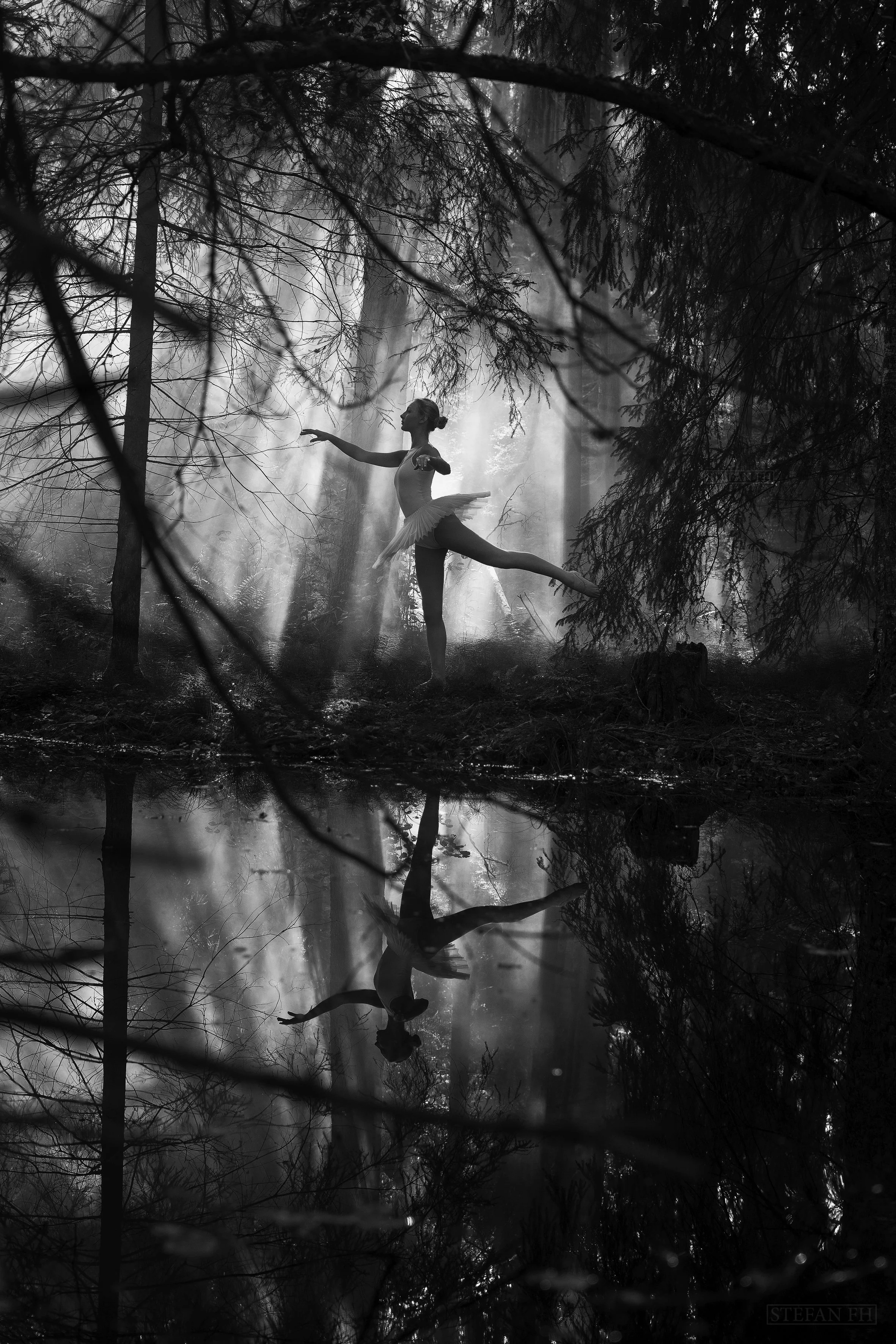 Balelrina, Foto StefanFH