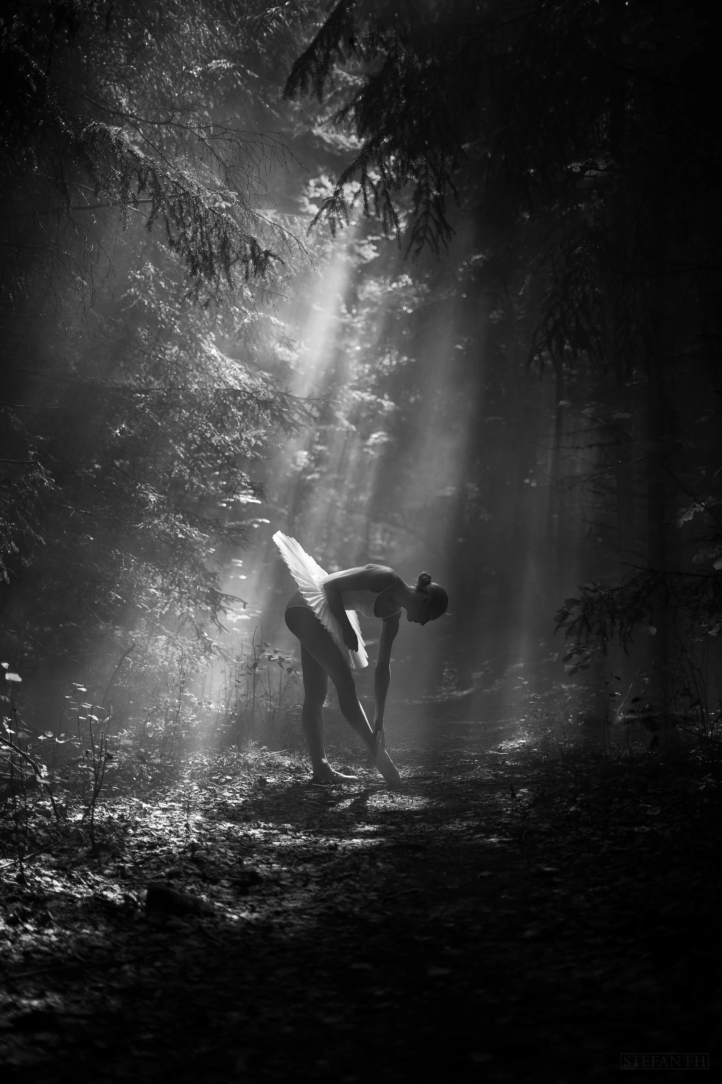 Ballerina,  Foto: StefanFH