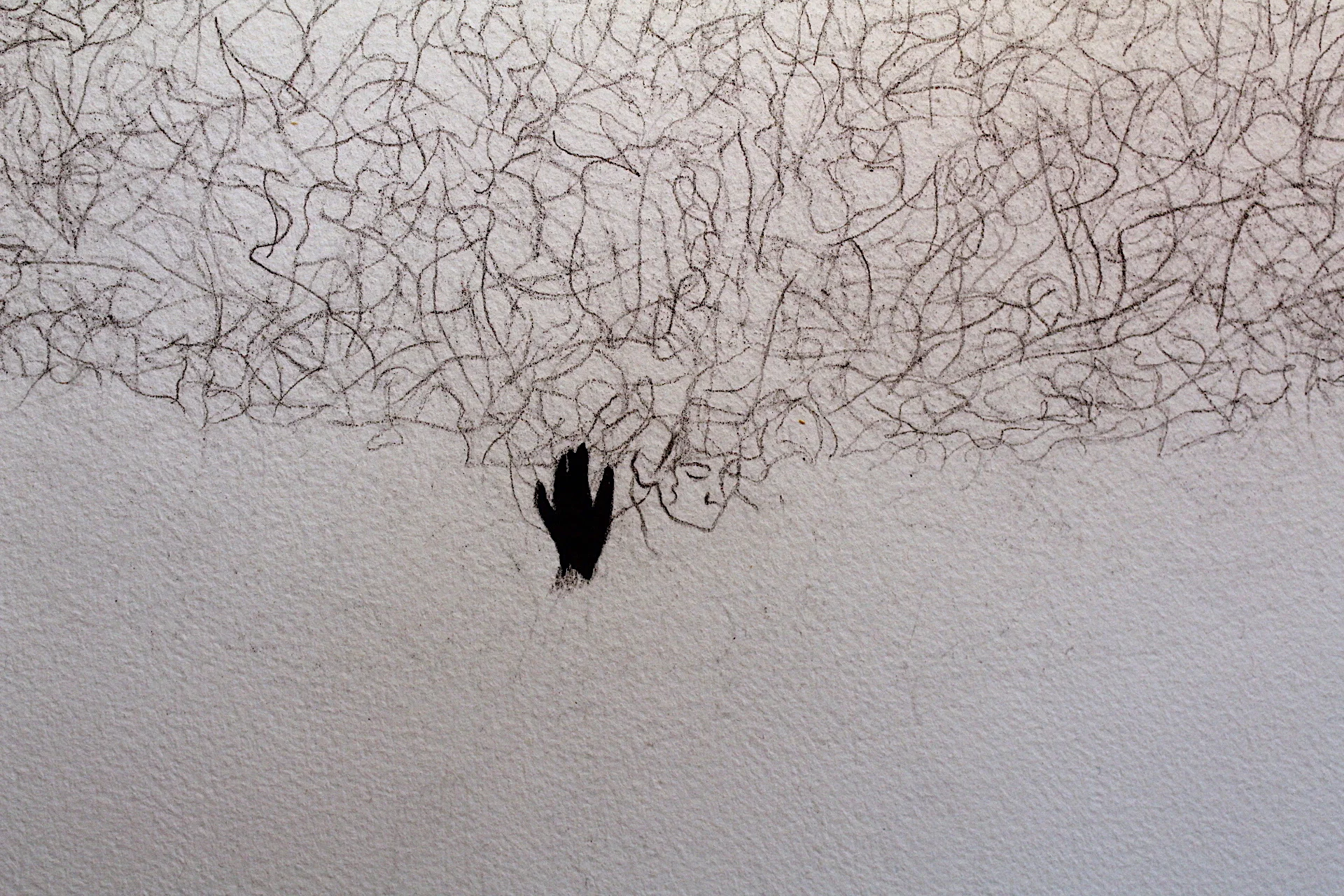   Guilty Of Fantasizing About Everything You Accuse Me Of, 2007,  detail 