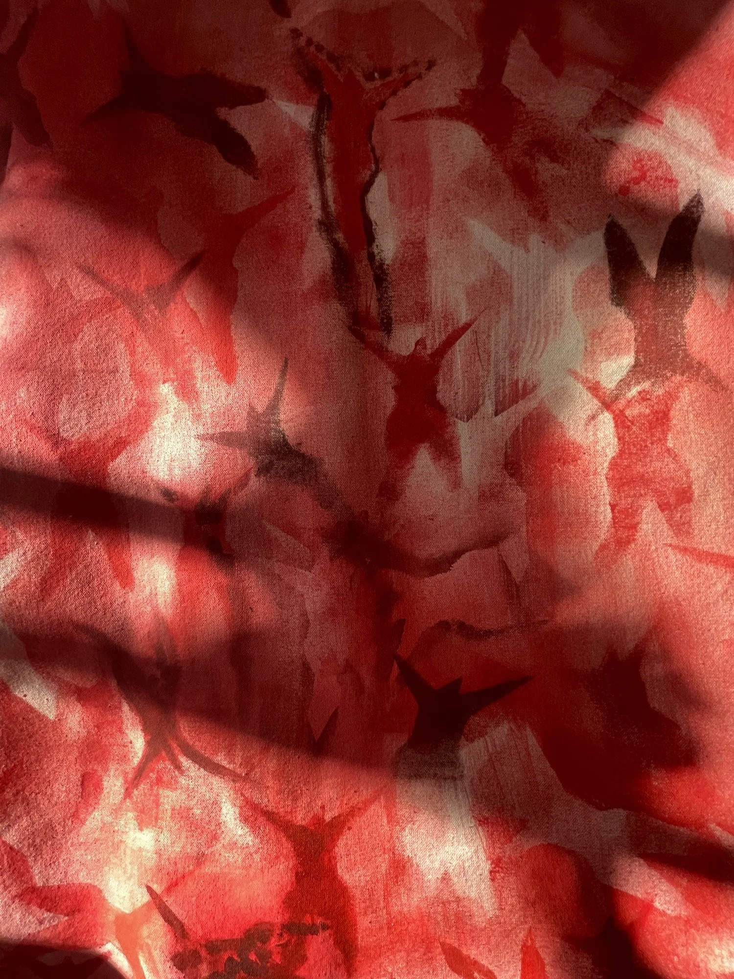 Detail of top canvas and star bodies