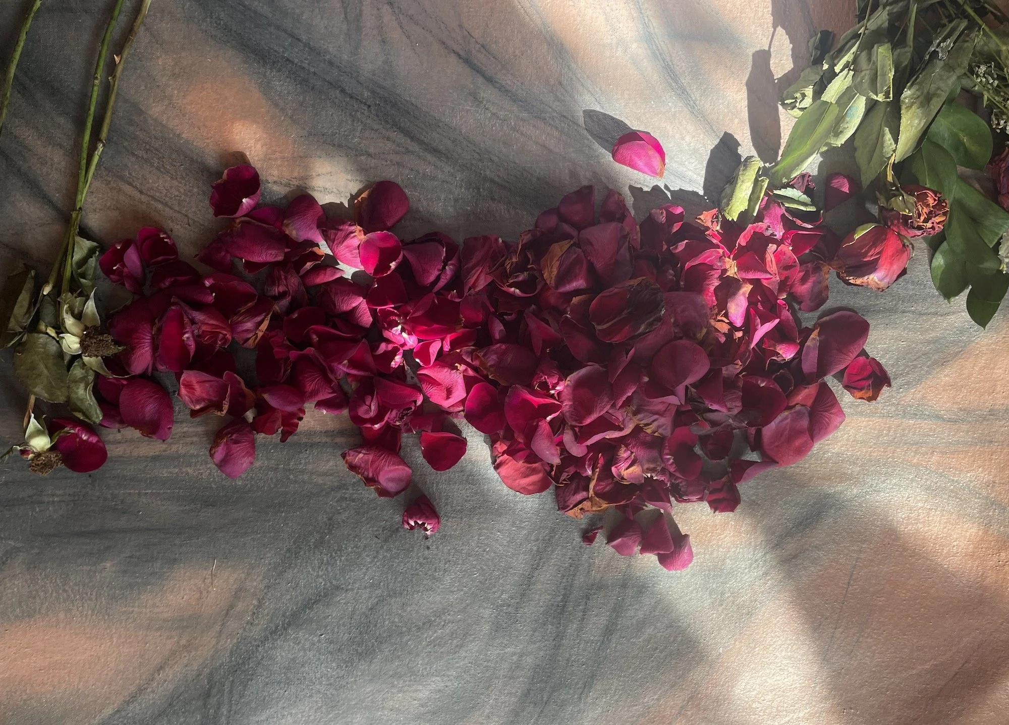 Roses at the base of the painting, which were later crushed during the performance.