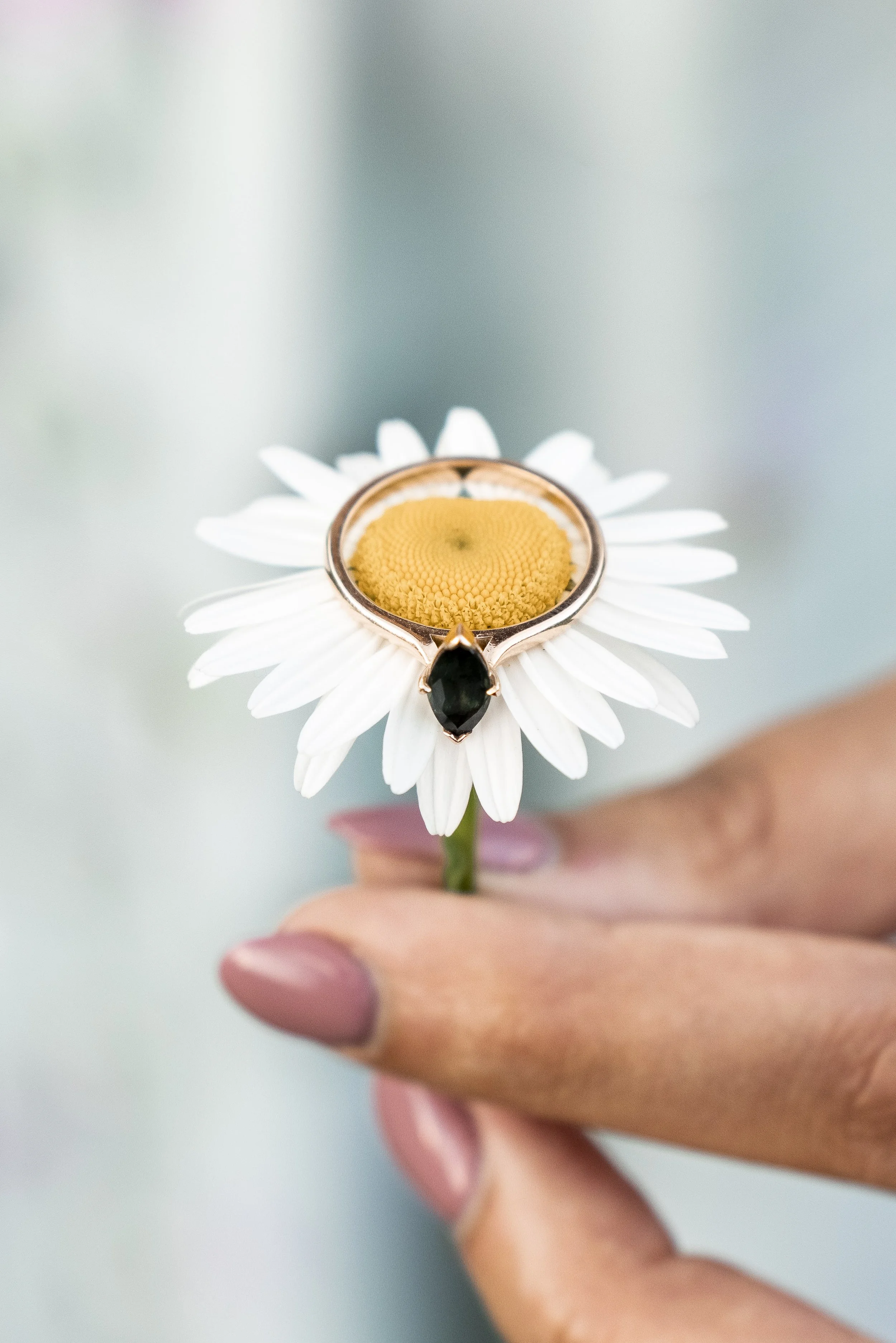 What questions to ask?