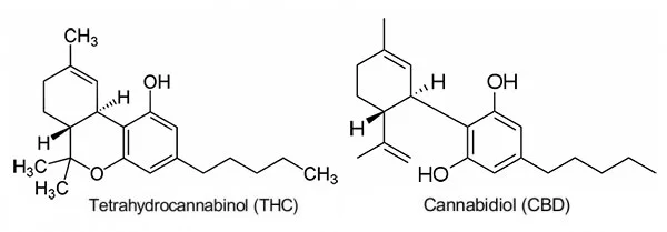 THC-CBD.jpg
