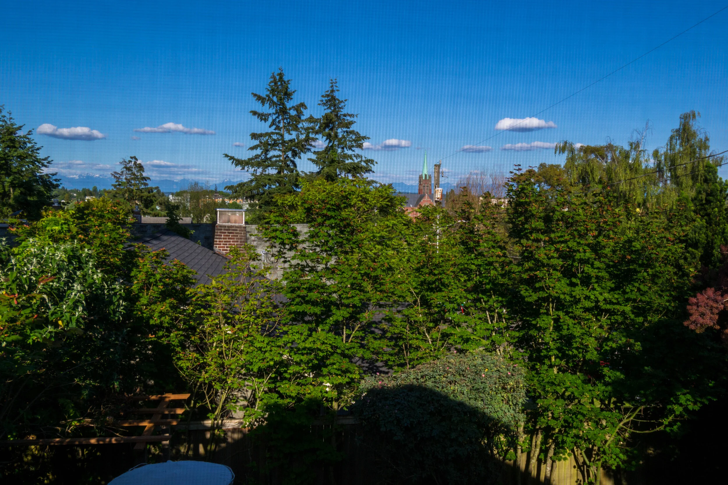 16UpstairsView (1 of 1).jpg