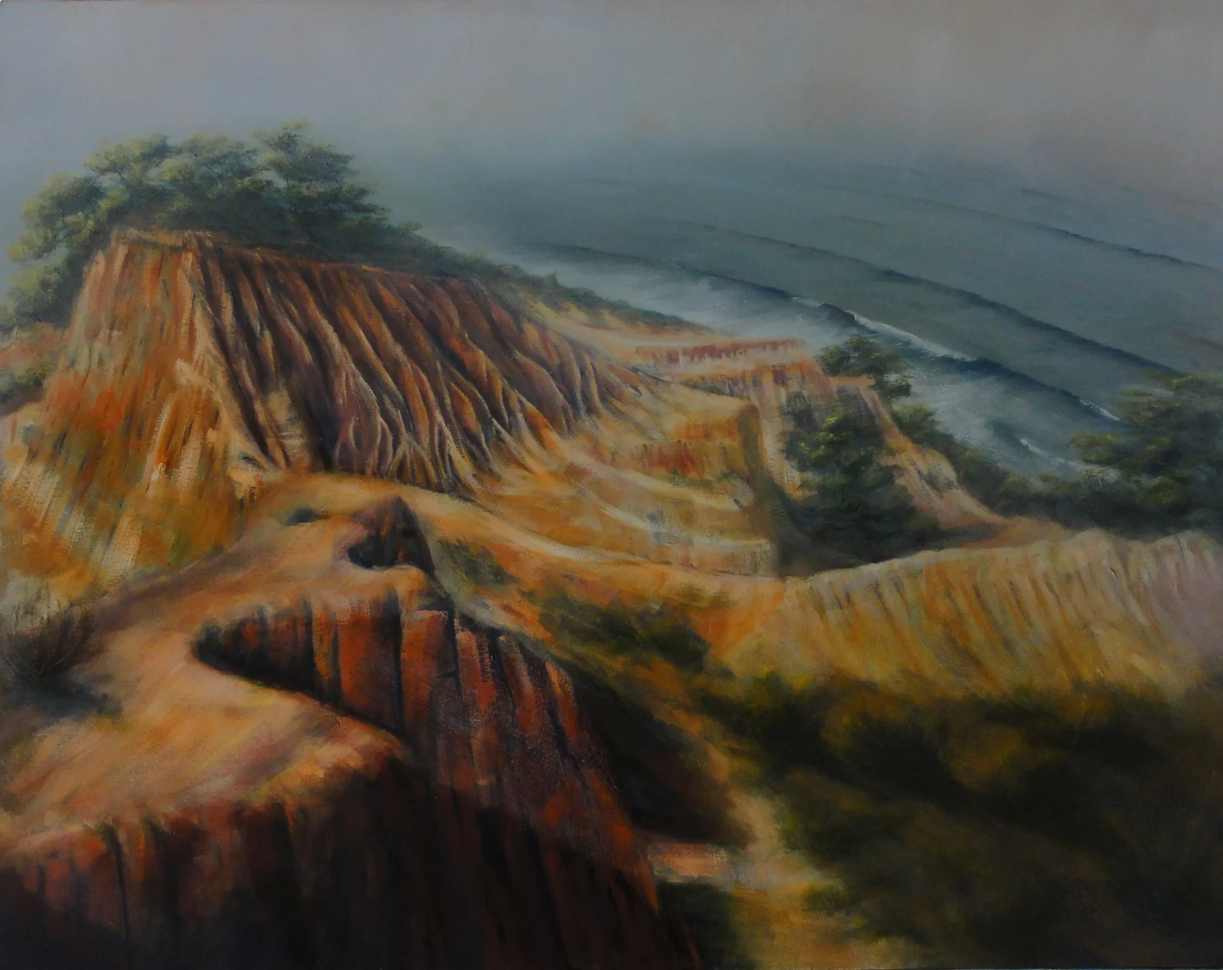 TORREY PINES ONE