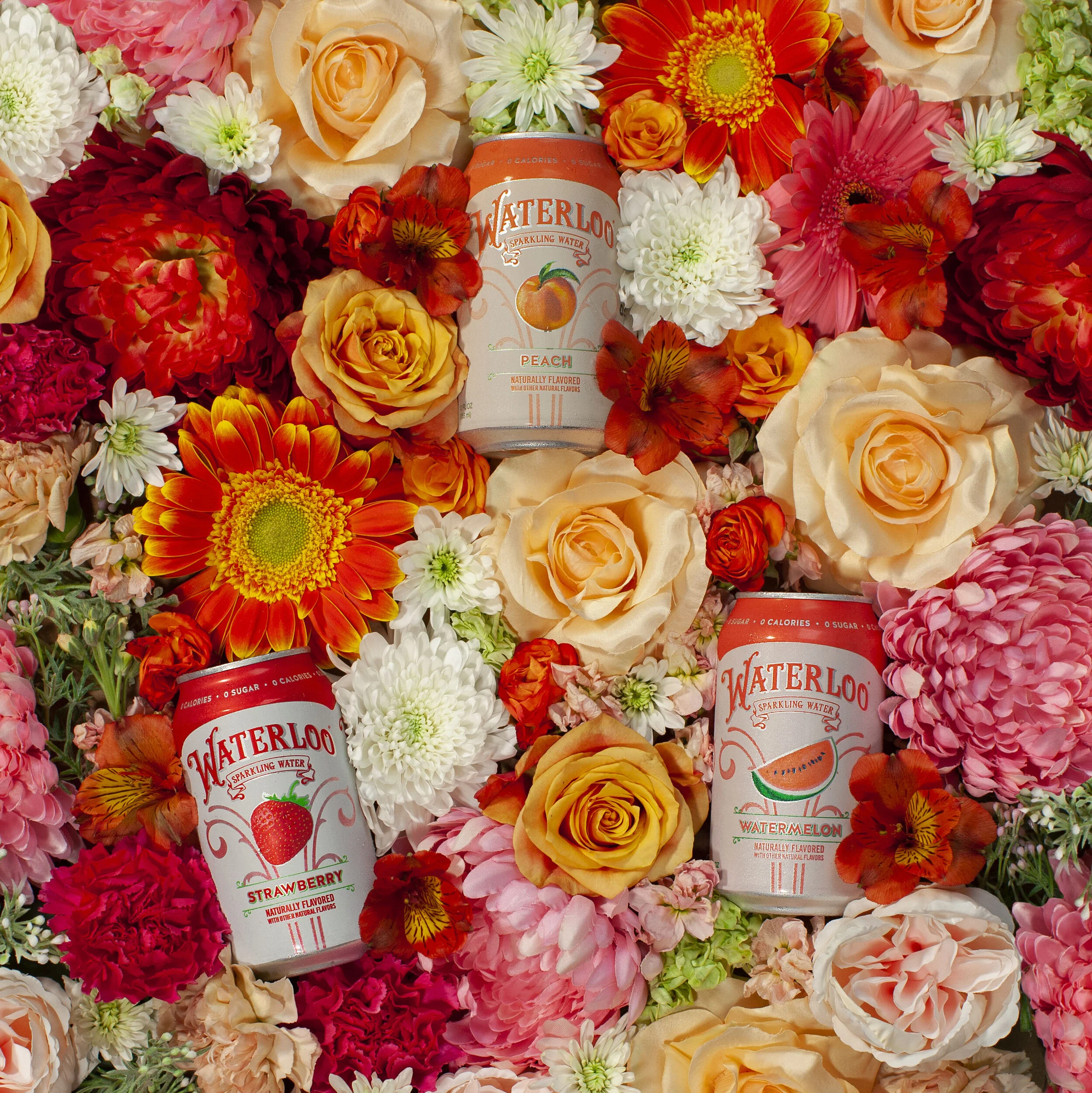 1-1-Spring Forward copy.jpg