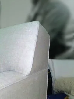 First page Sofa Close Up.jpg