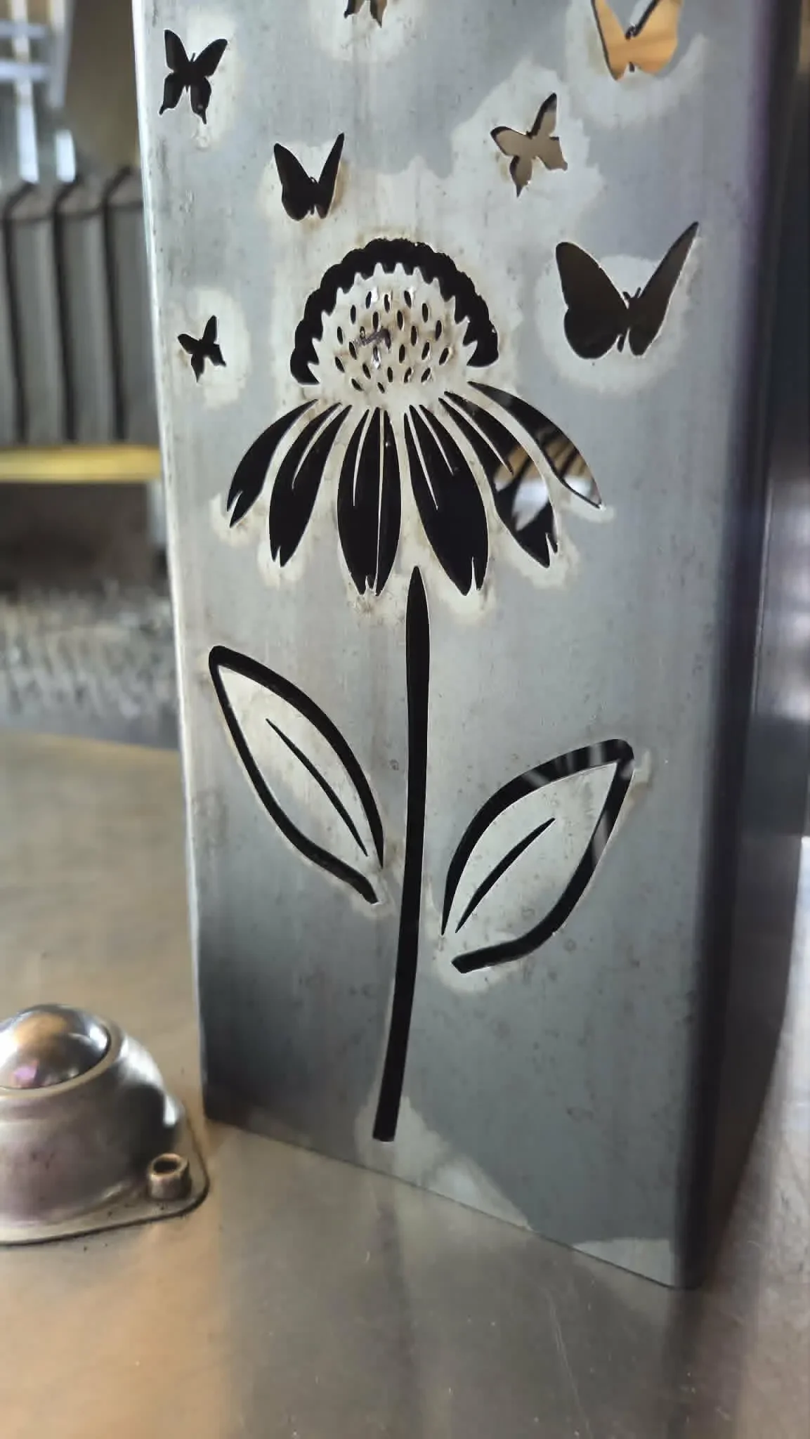 coneflower2.webp
