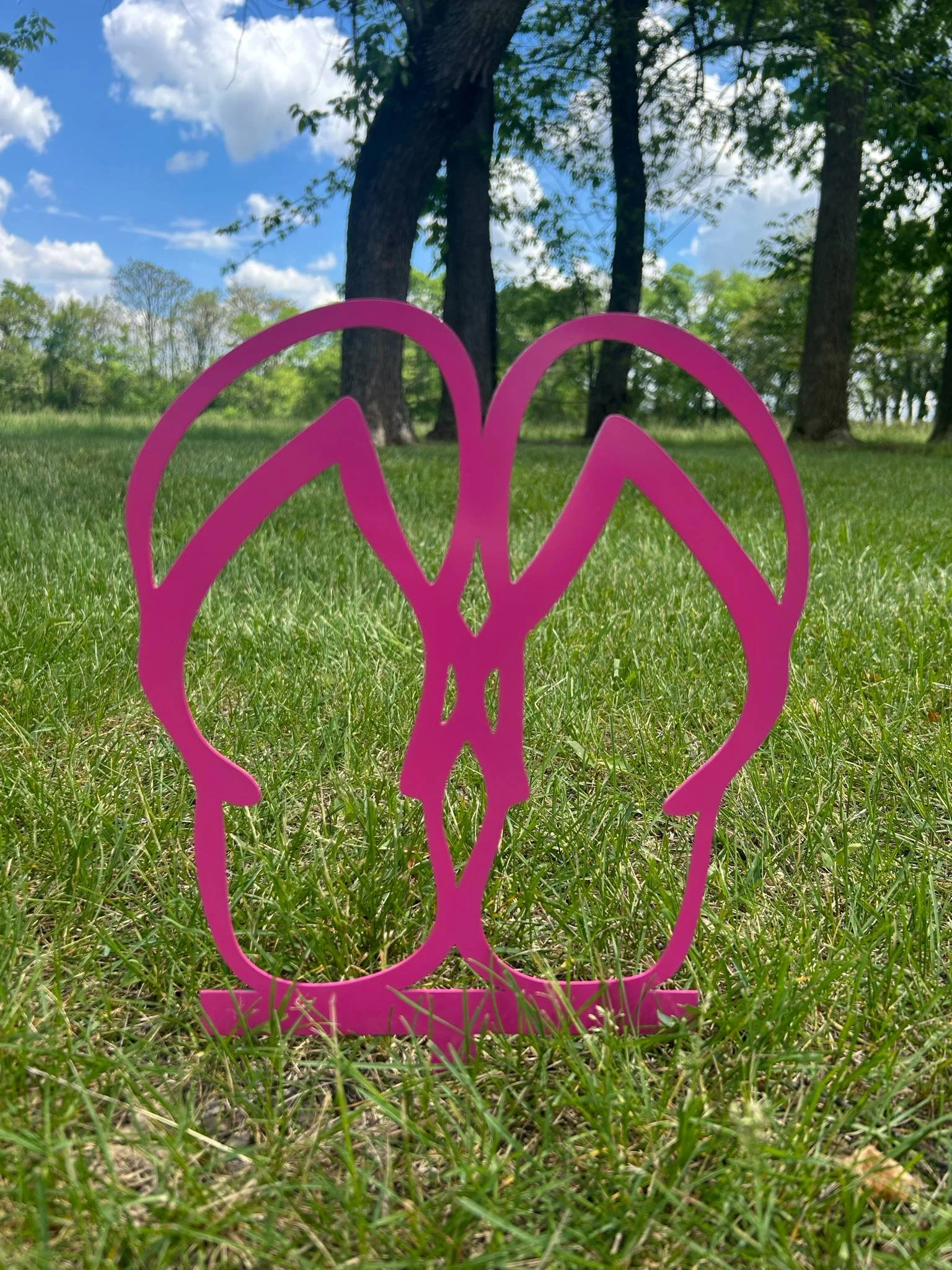 pink flip flips.jfif