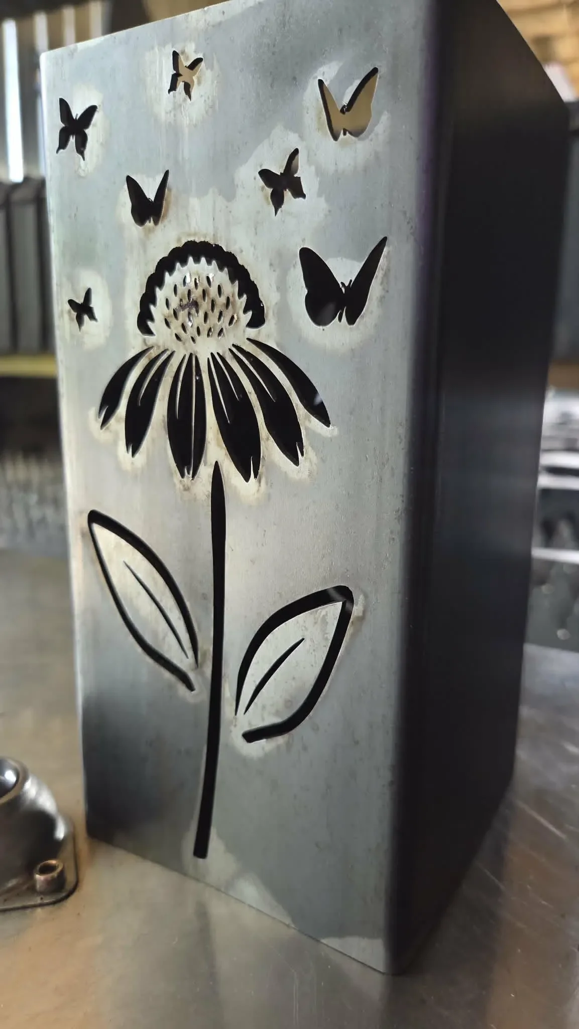 coneflower 4.webp