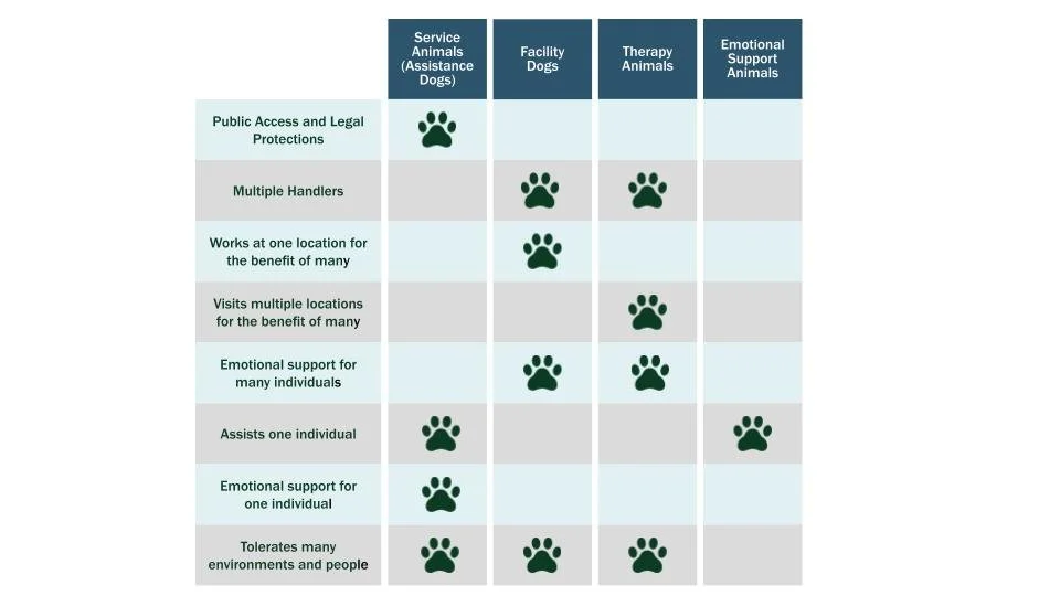 Possible Facility Dog Infographics.jpg