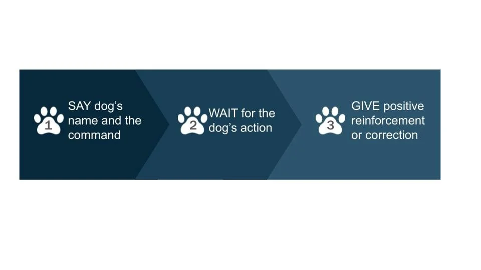 Possible Facility Dog Infographics (1).jpg