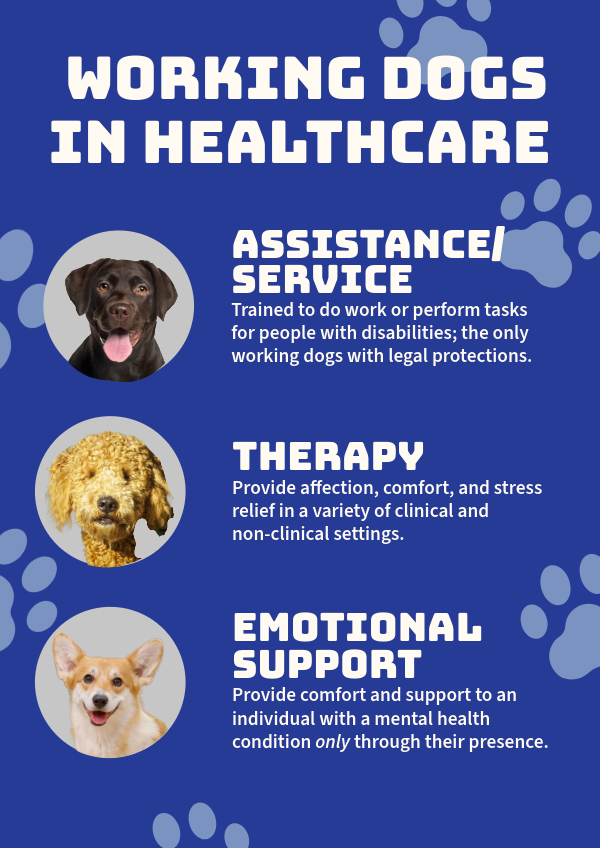 Working Dogs in Healthcare Infographic Web Size.png