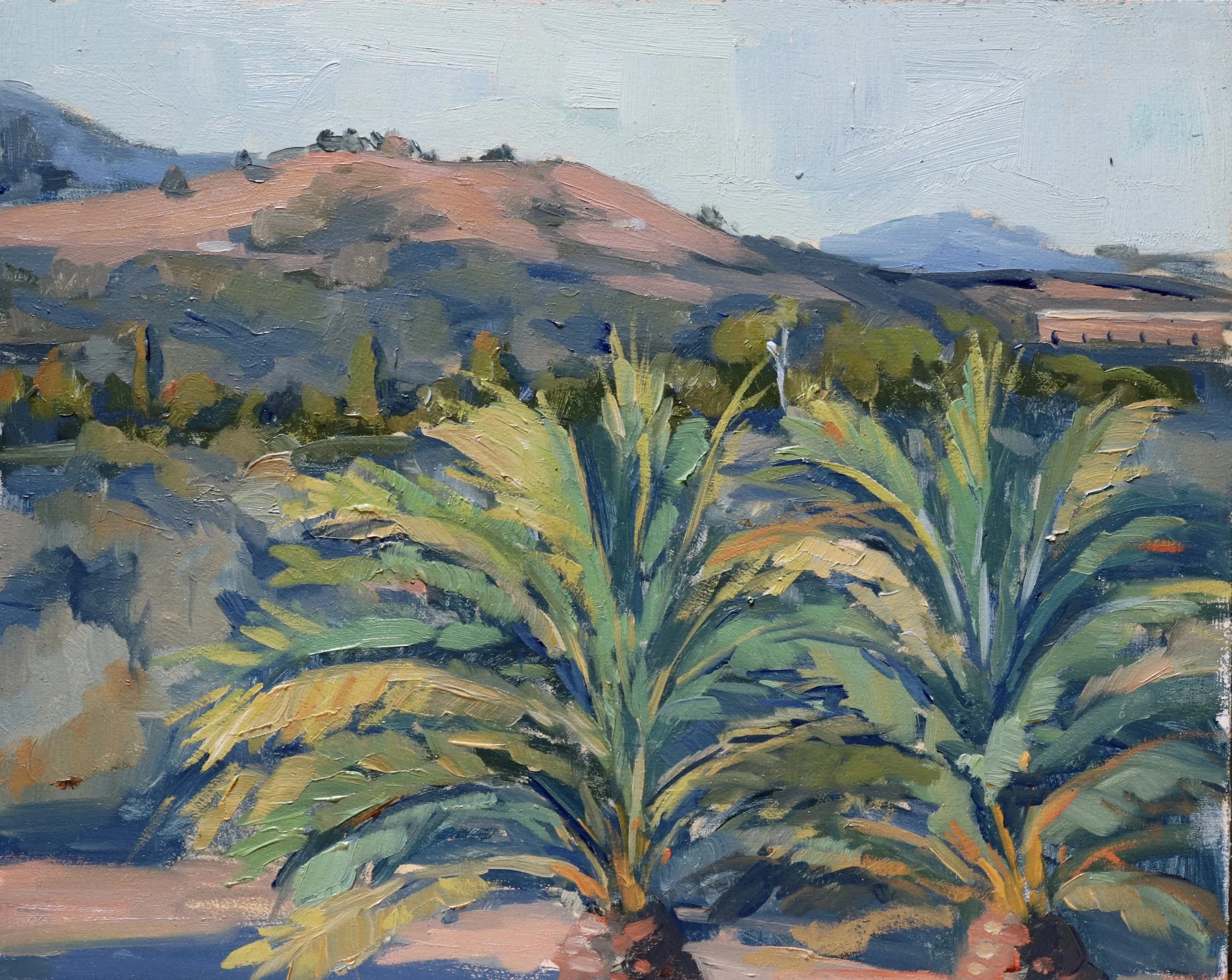 Majorcan Palms At Sunset 300.jpg