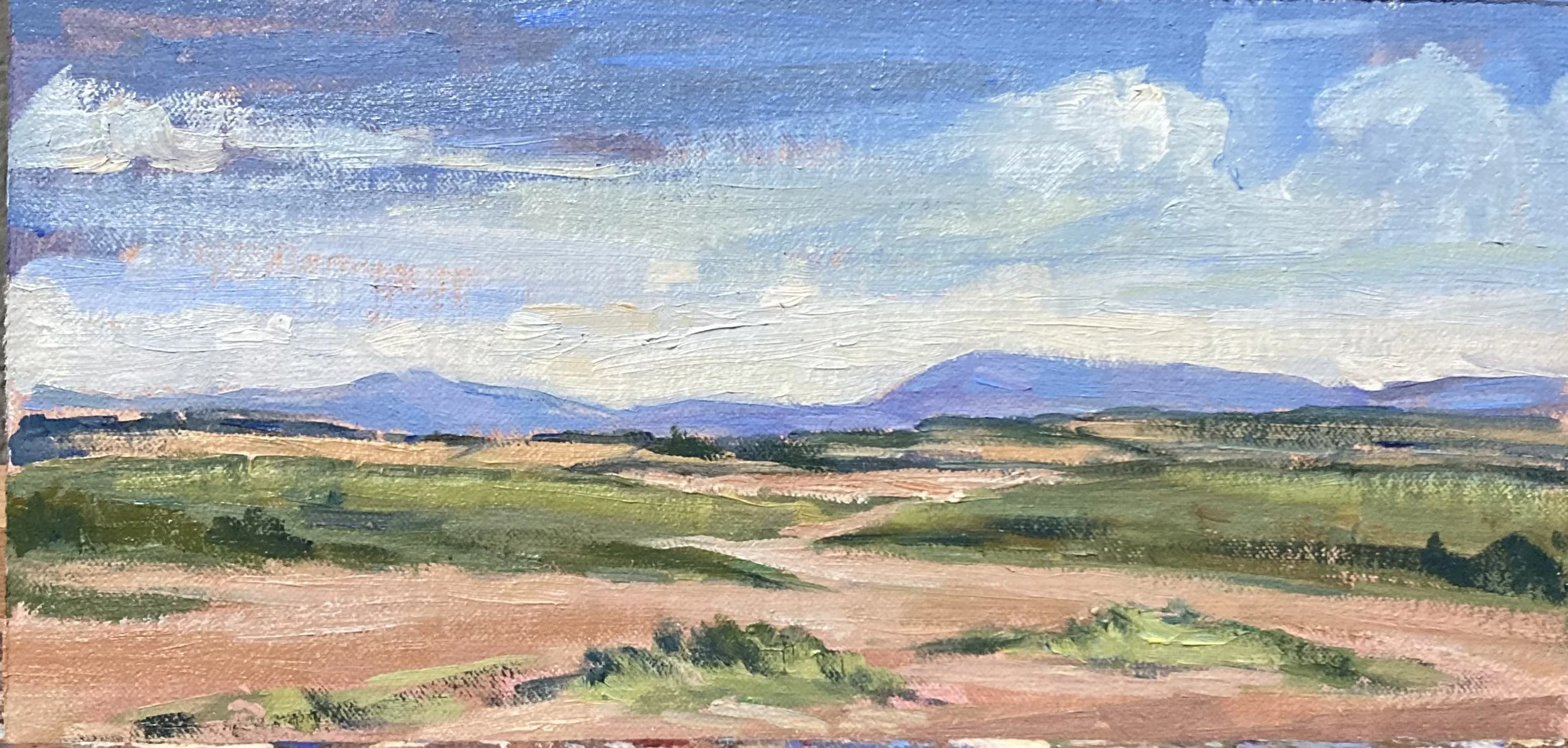 Goswick beach300.jpeg