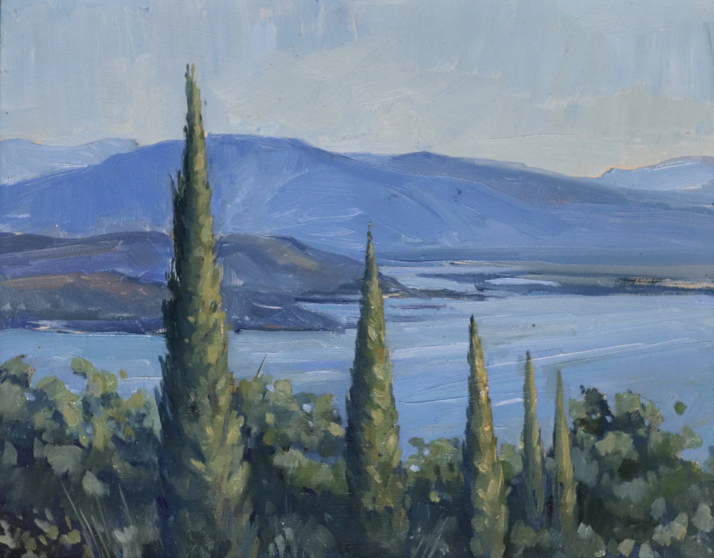 cypress trees300.jpg