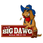 BigDawn Logo_resized.jpg