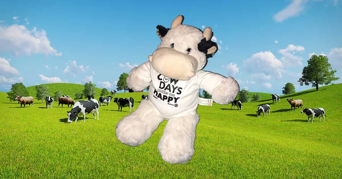 Stuff-A-Cow-headline-graphic-1200x628-med.jpg