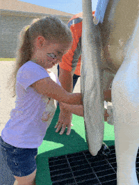kids-gif-3.gif