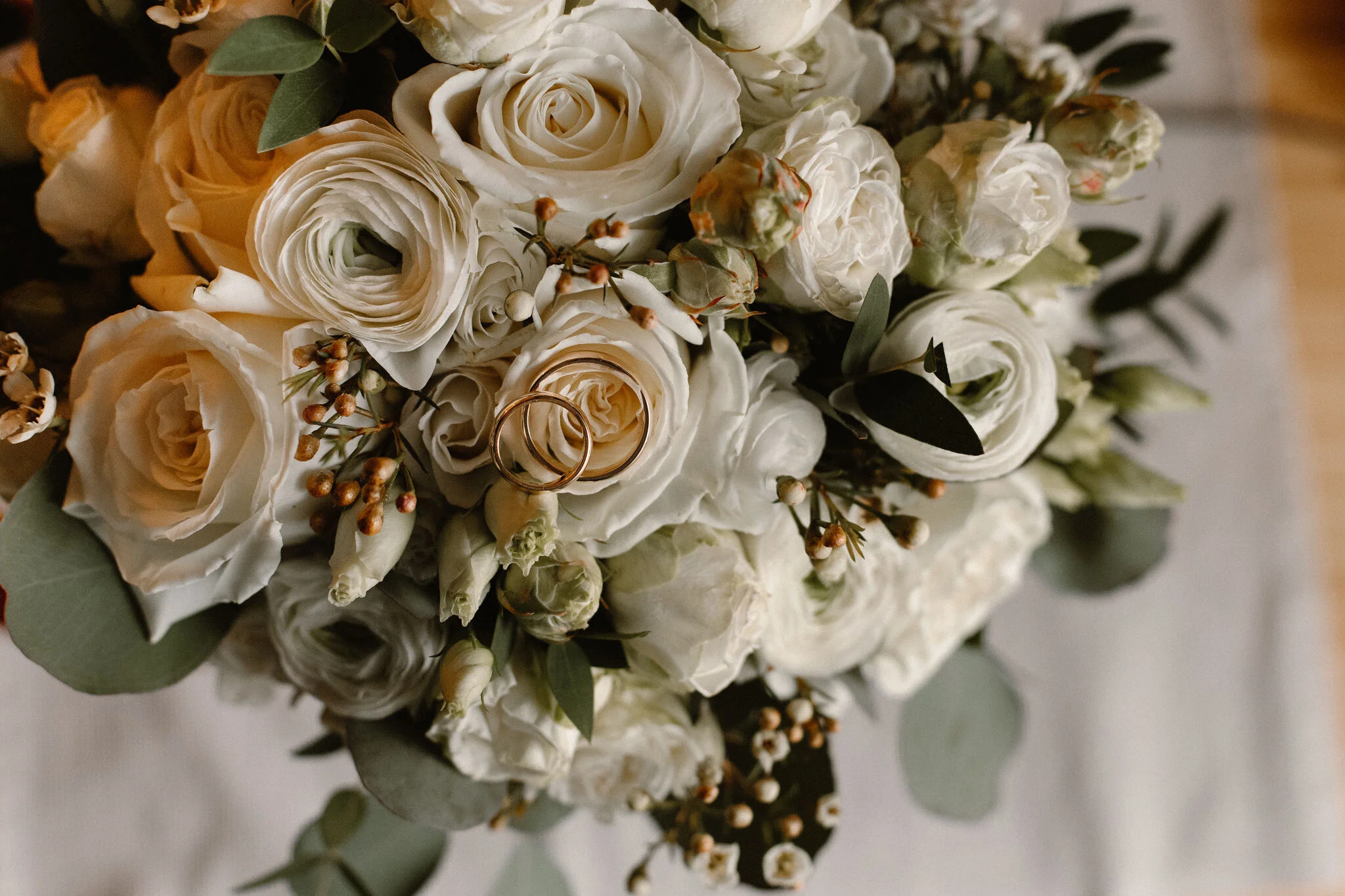 adrianna józefecka josephine photo studio