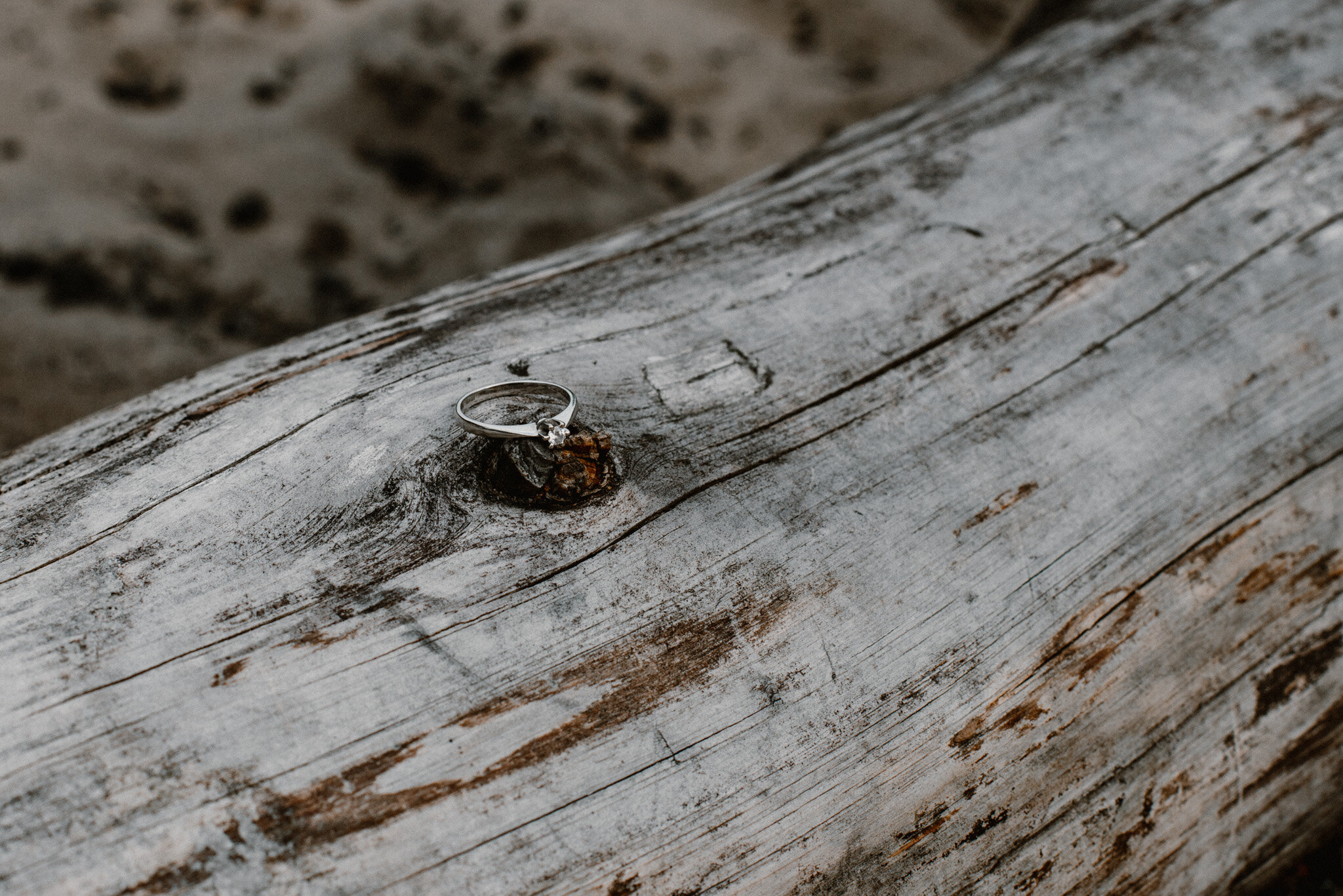 adrianna jozefecka josephine studio