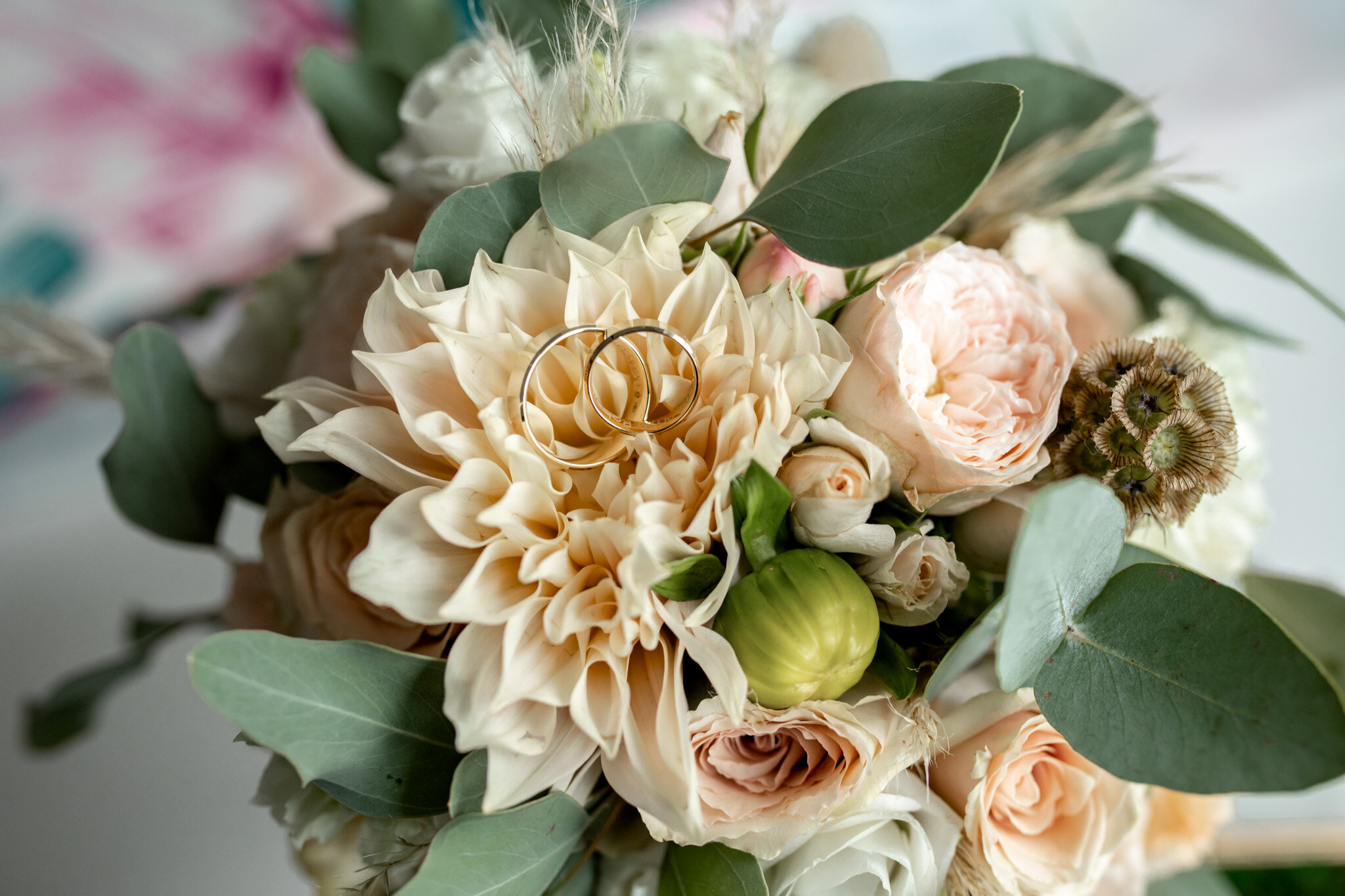 adrianna jozefecka josephine photo studio