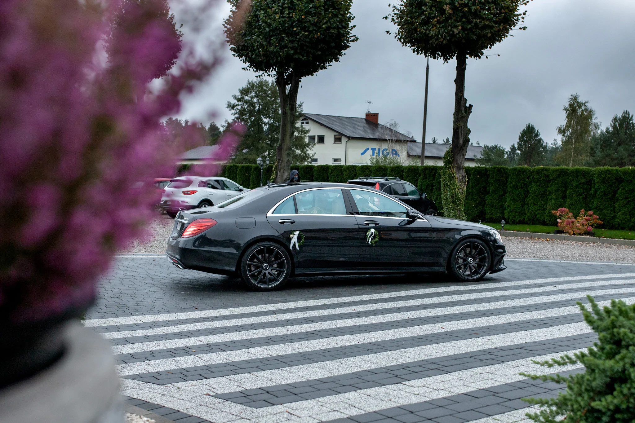 adrianna jozefecka josephine photo studio