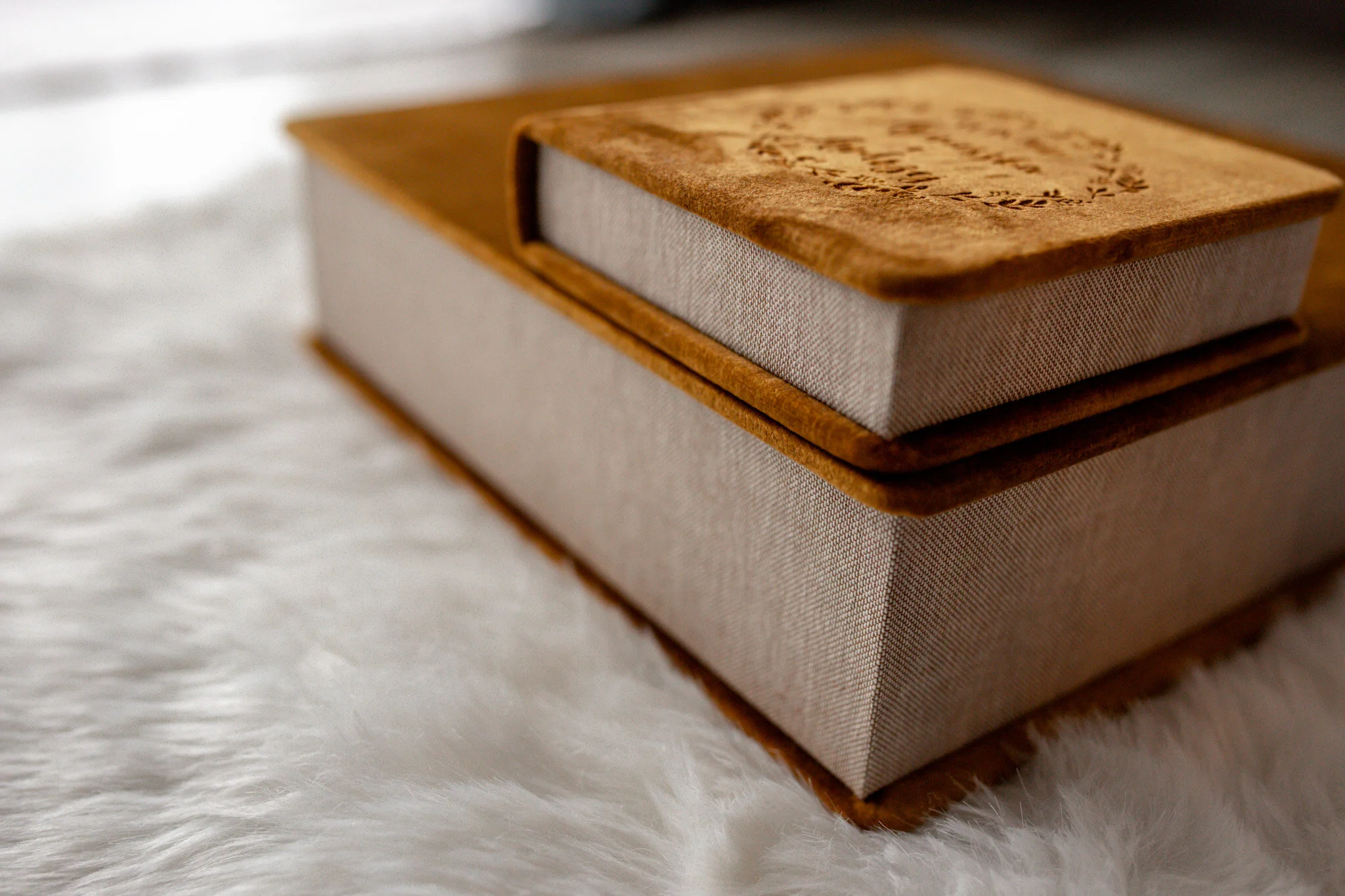 adrianna jozefecka fotografia josephine photo studio