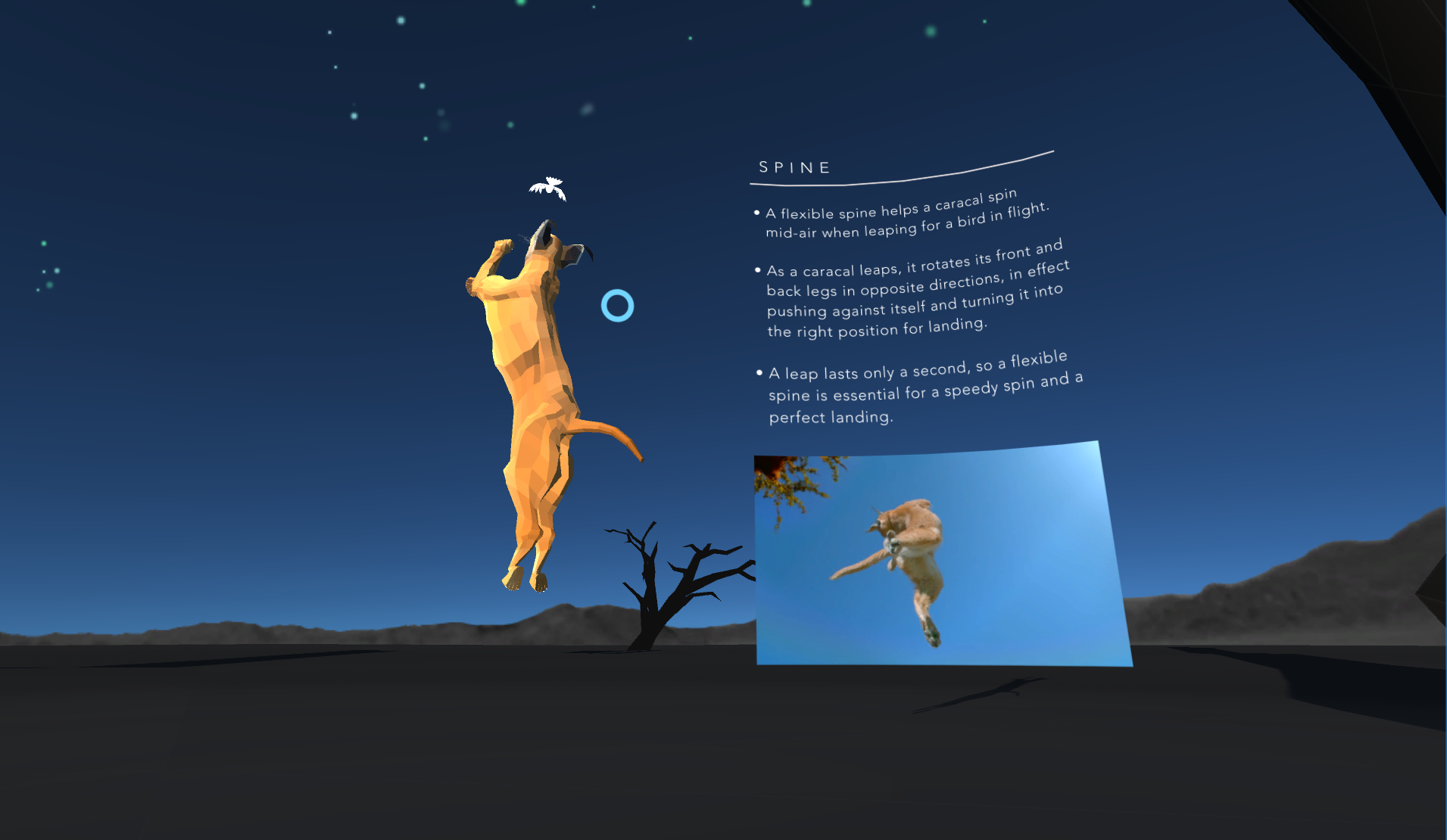 Caracal Screenshot 5.PNG