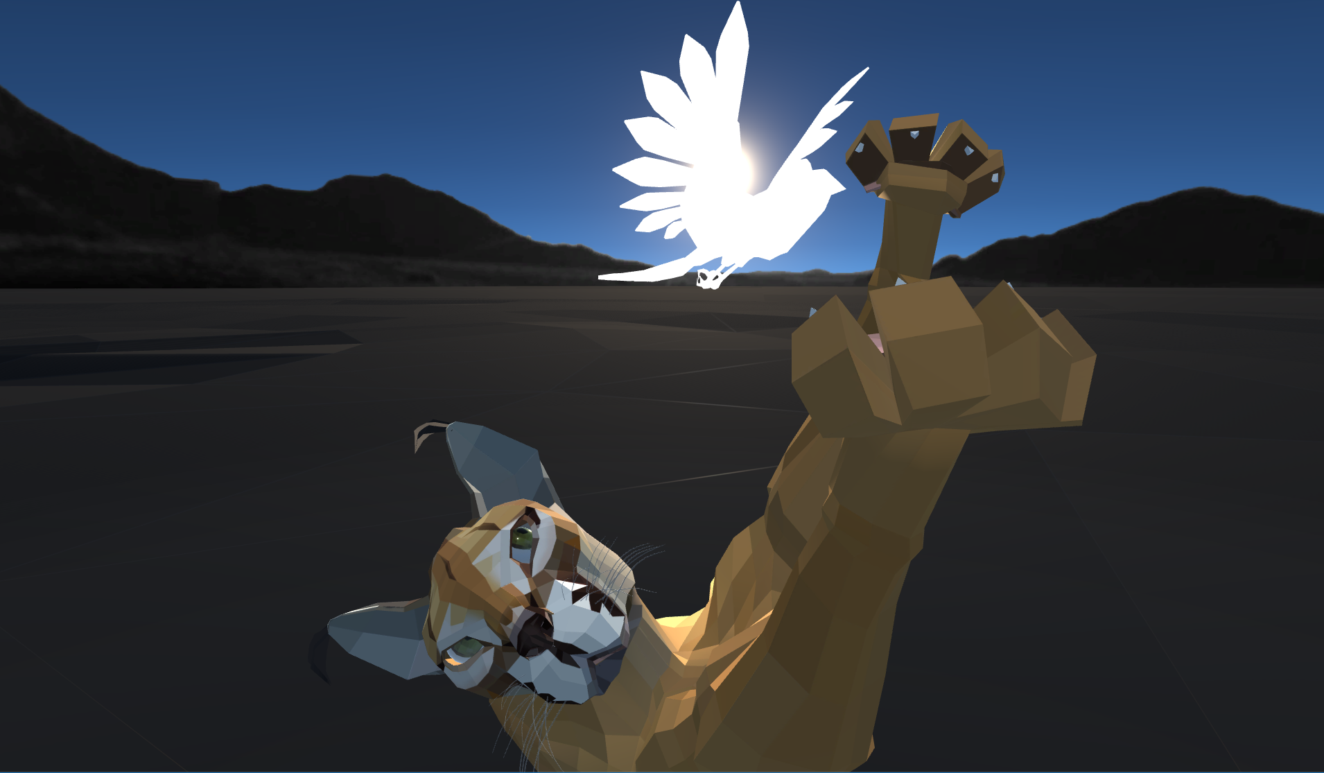 CAT FLIGHT NOMINATED FOR BEST VR - ROTTERDAM WILDLIFE FILM FEST