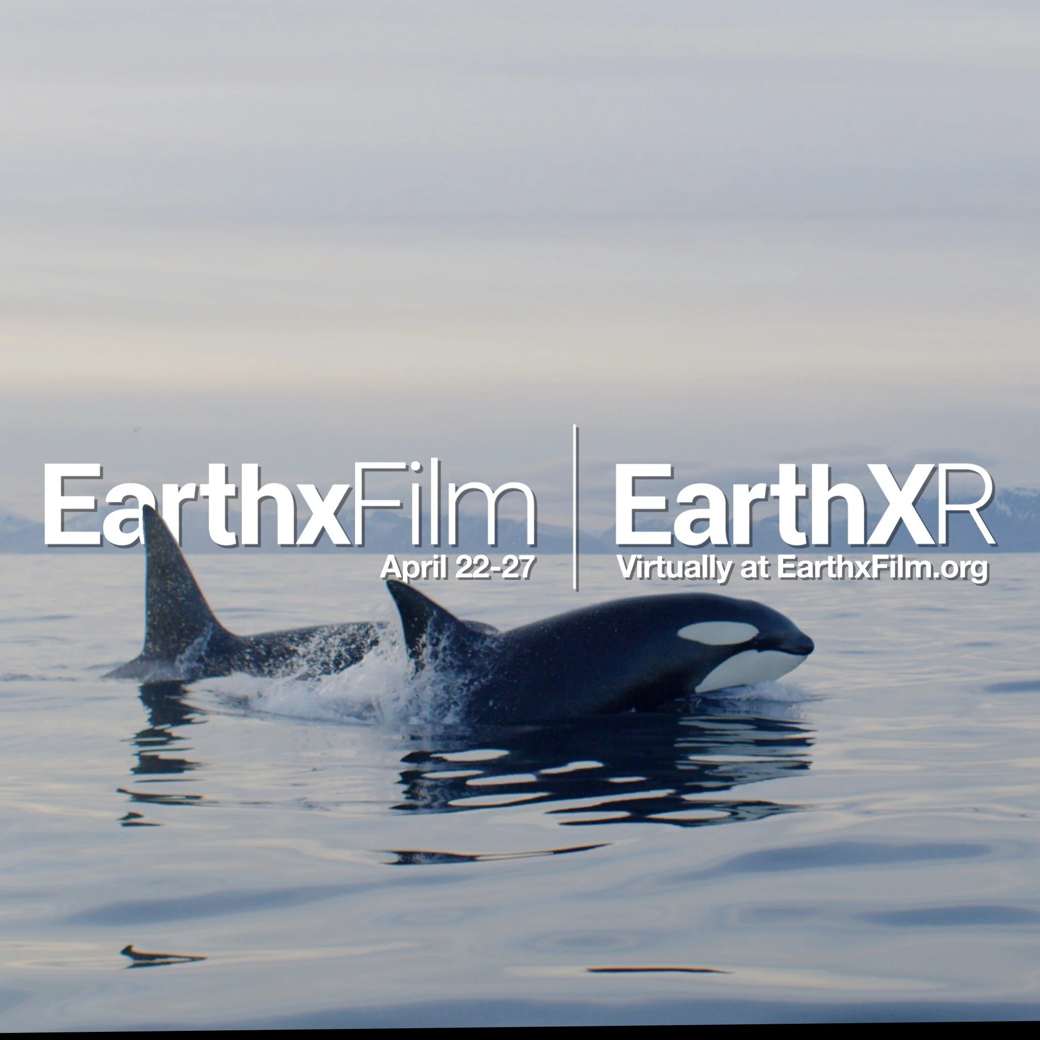 EARTHSONGS AT EARTHX 