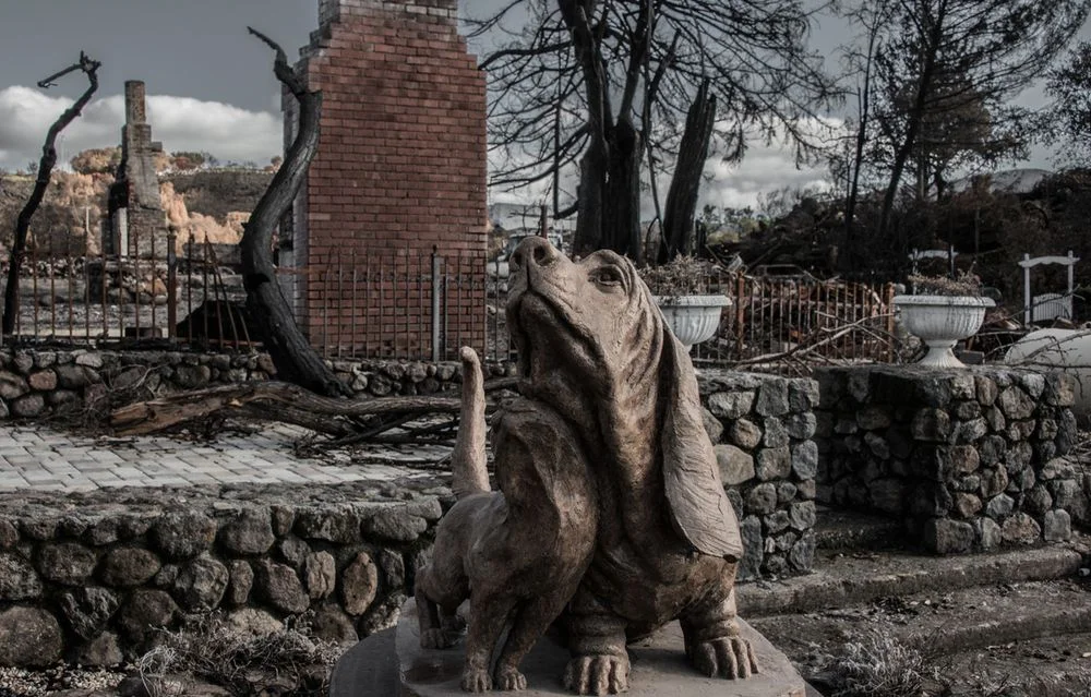 Remnants8.jpg