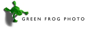 Green Frog Photo