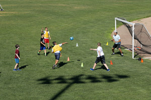 Expansive grass fields for multisport