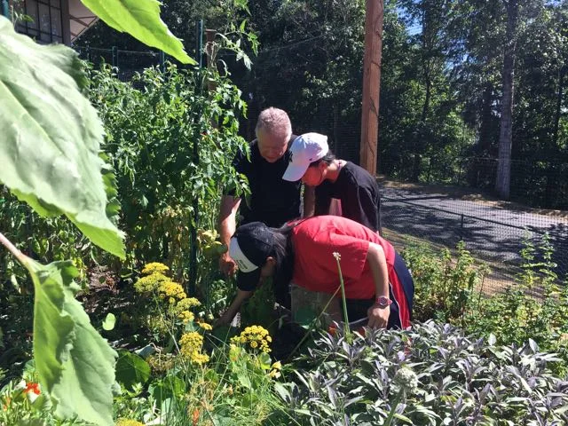 Chef Ron Askew at Forest Ridge School of the Sacred Heart’s Garden / Photo by Kim Marshall