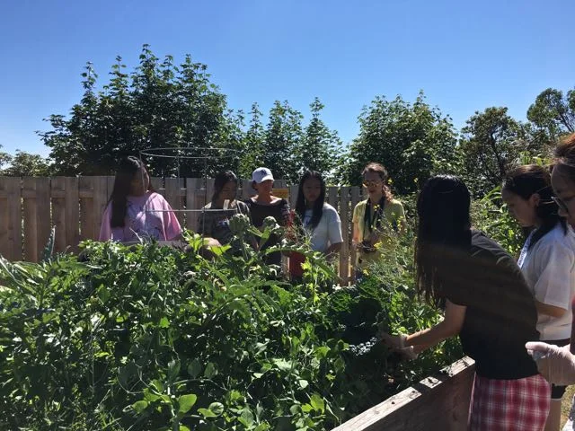 Garden at Forest Ridge School of the Sacred Heart
