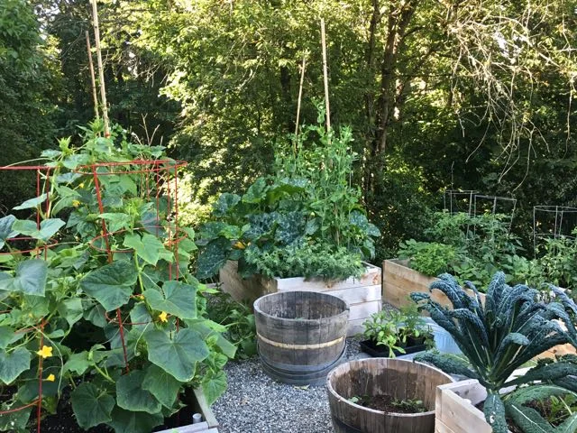marshall-garden-1.jpg