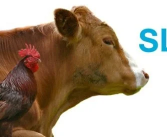 Slow Meat: Better Meat, Less Meat