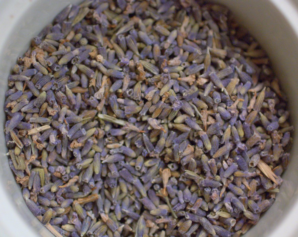 lavender.jpeg