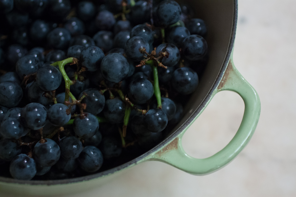 grapes-2.jpeg