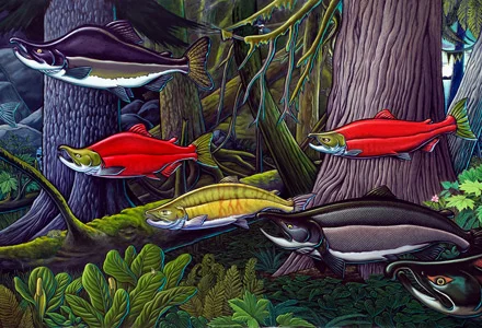 Two Wild Salmon Films Screening at SIFF