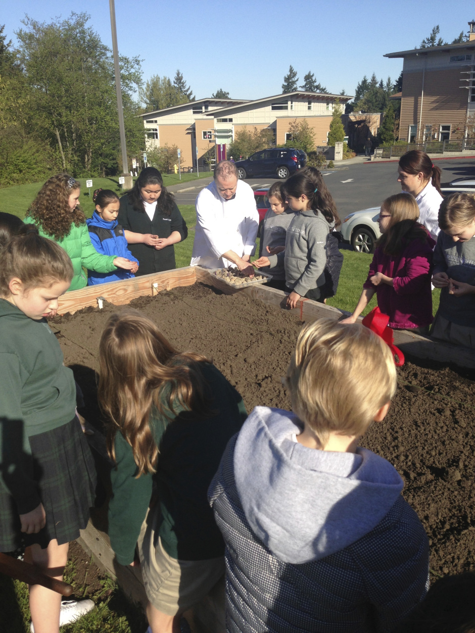 Chef Ron Askew shows students the Makah Ozette potato.