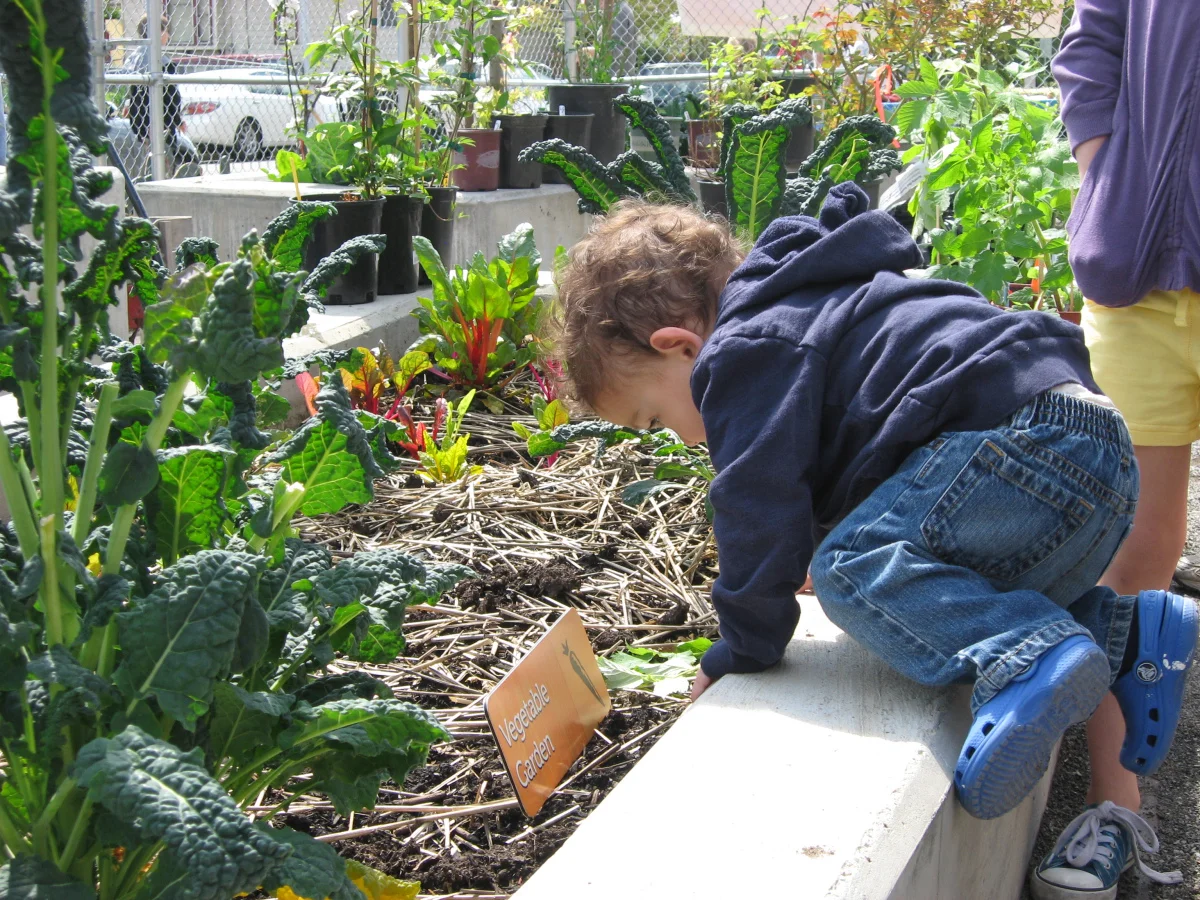 It's Time for Lunch in Seattle