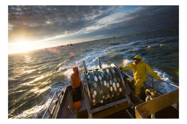 Savor Bristol Bay Week in Seattle: July 4-10